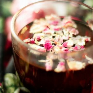 Infusiones